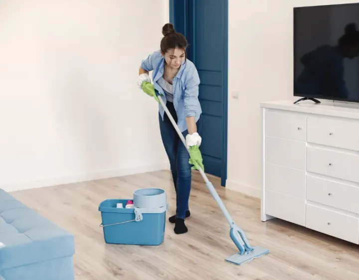 Femme de ménage Wintershouse